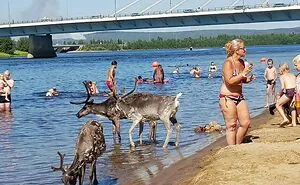 This Group Is Dedicated To Things That Only Happen In Europe, Here Are 50 Of The Most Interesting Ones