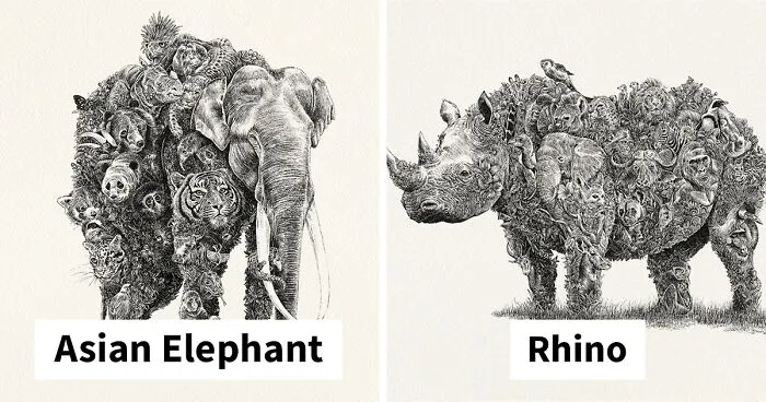 My 6 Intricate Animal Drawings Support Wildlife Conservation And Celebrate Biodiversity Of The Earth