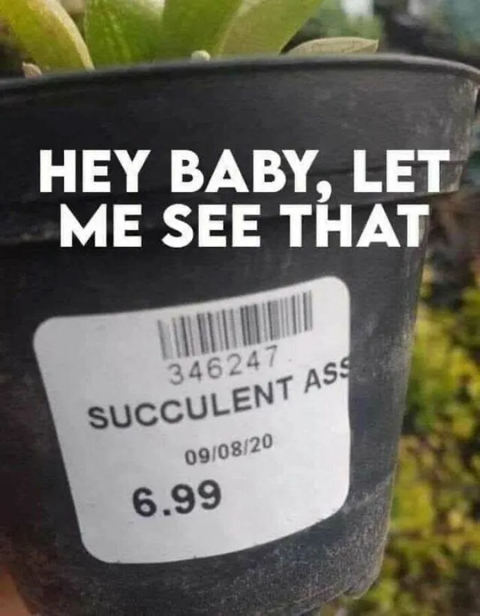 6.99