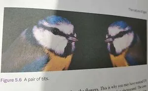 50 People Who Absolutely Knew What They Were Doing And Went For It Anyway