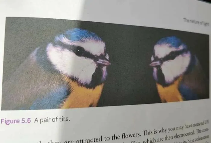 Author Having A Laugh
