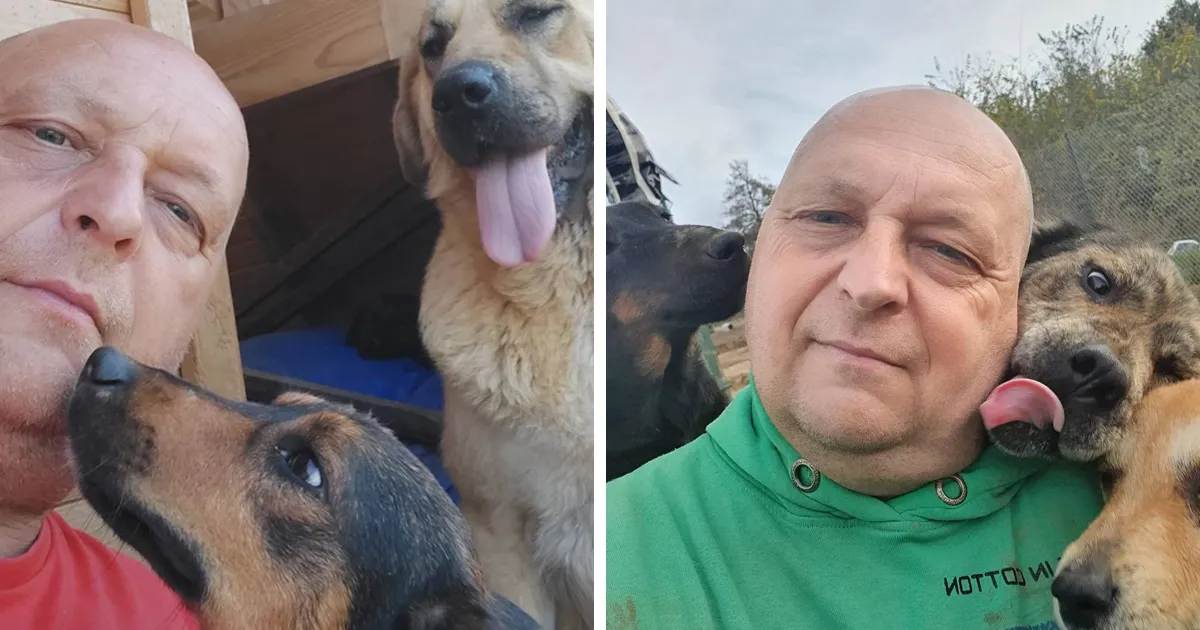 Serbian Man Started A Shelter With His Mother Over 20 Years Ago, Now He's Taking Care Of More Than A Thousand Dogs