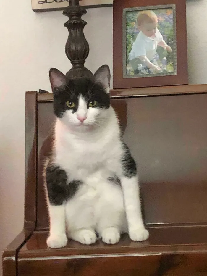 He Sits Like This And Stares At Me Why