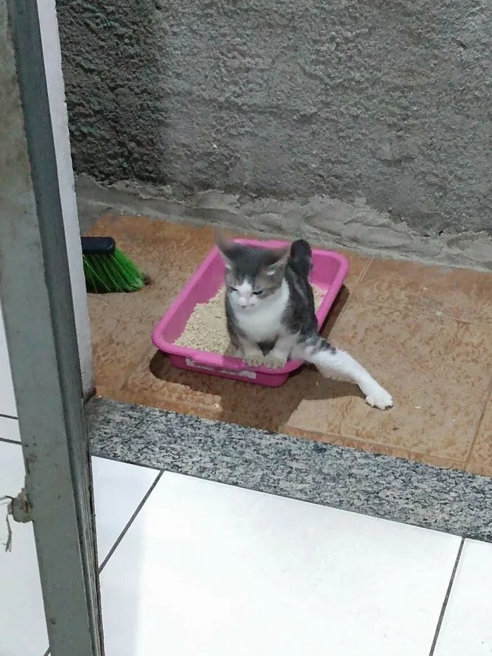 Bebé constipado