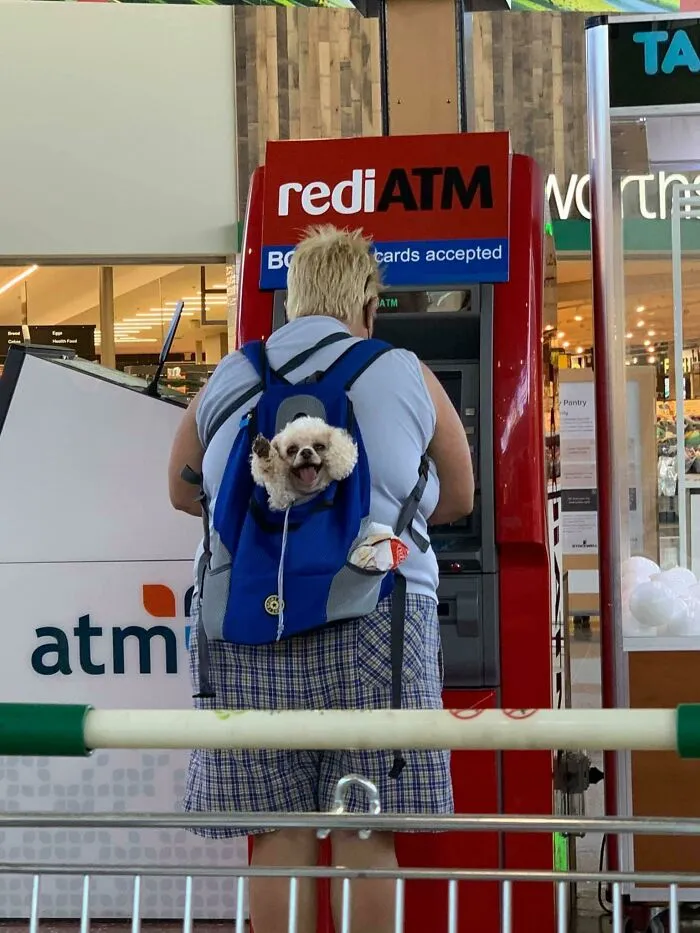 Woof Irl