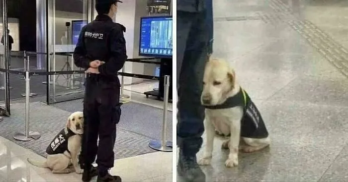 Su primer día en el trabajo