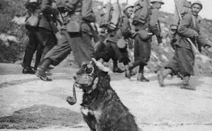 50 Important Historical Photos That Might Change Your Perspective On Things (New Pics)