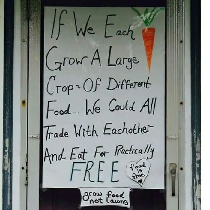 Permanent Permaculture