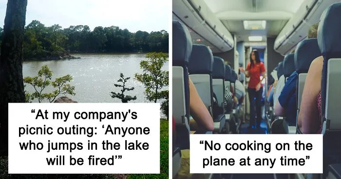 35 "Oddly Specific" Rules People Encountered That Require An Explanation