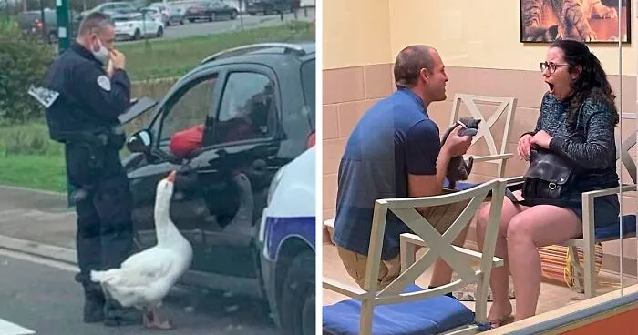 This Facebook Page Is All About Animal Images That Need To Be Seen (50 New Pics)