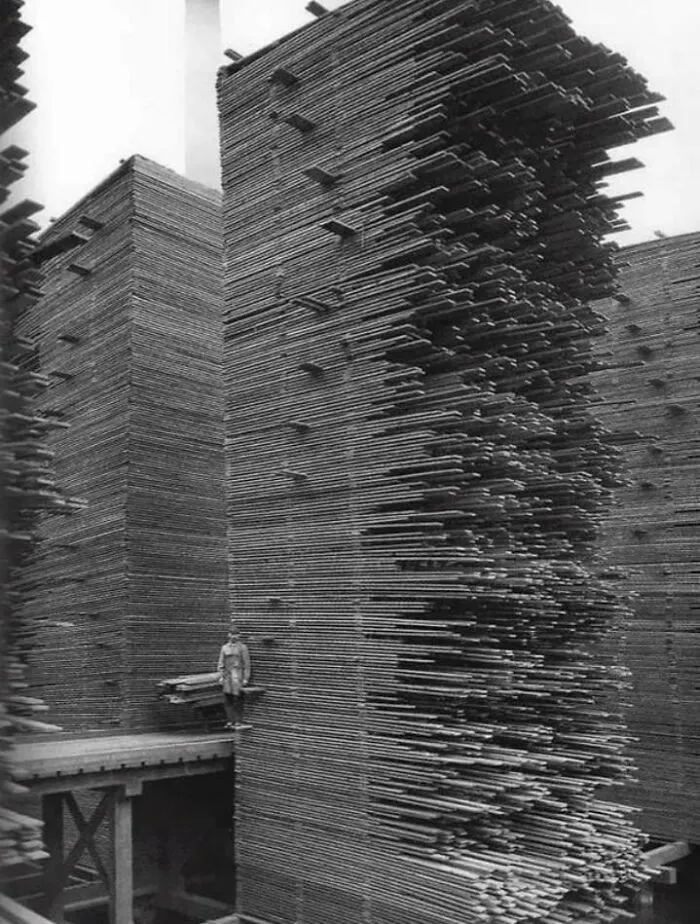 A Mountain Of Timber. All Stacked & Unstacked By Hand
