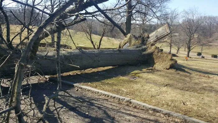 El otro día hizo tanto viento que levantó a los muertos