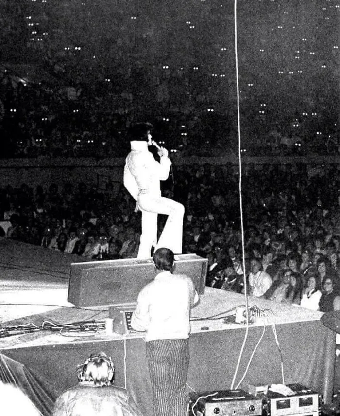 Eyes Reflecting In A Camera Flash At And Elvis Concert