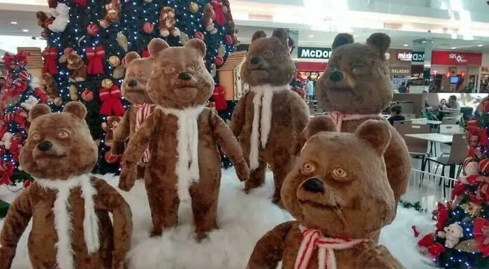 Solo osos...