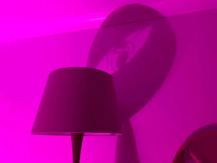 Shadow Cast By My Lamp Looks Like A Happy Spider With A Ball