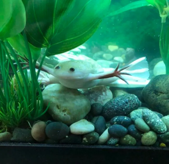 My Baby Boy
