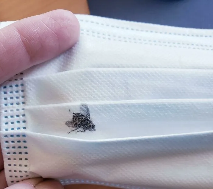 The Fate Of An Unfortunate Fly At The Mask Factory