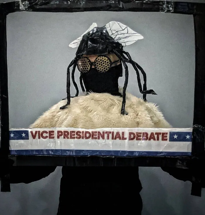Vice Presidential Debate Fly