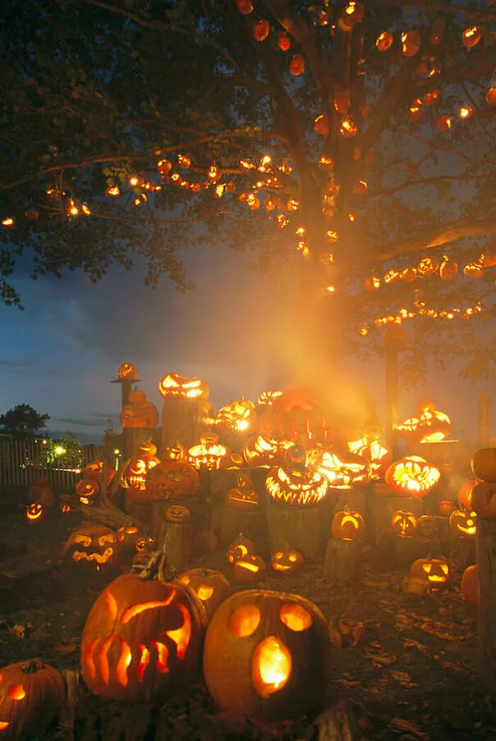 Árbol lleno de calabazas de Halloween