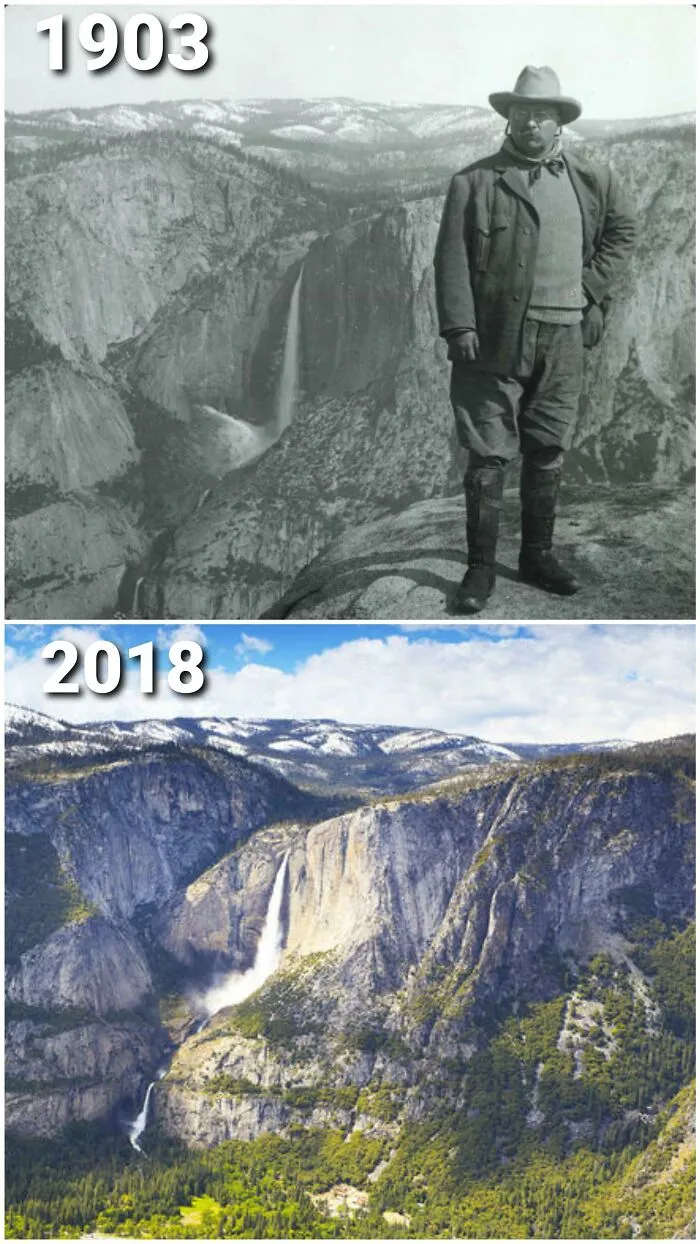 Theodore Roosevelt Would Be Proud