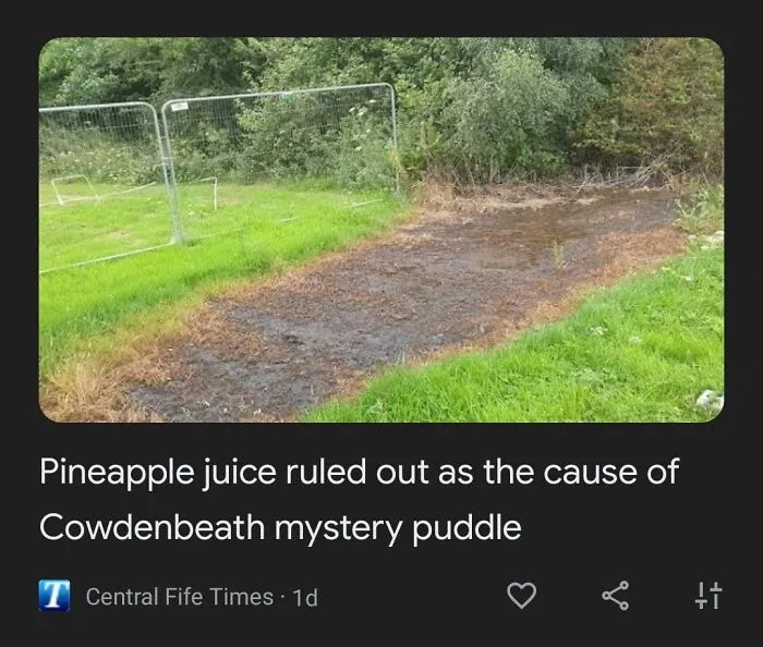 The Plot Thickens In Fife