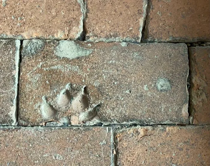 Baldosa de hace 900 años en la Catedral de Gloucester con la huella de un buen chico