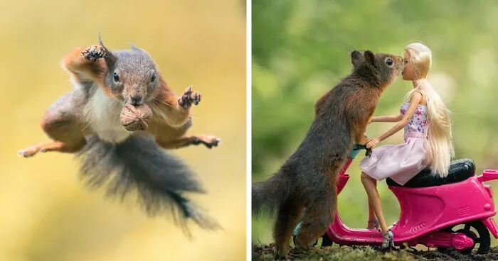I’ve Spent 5 Years Capturing Perfectly Timed Action Shots Of Animals In Nature (35 Pics)