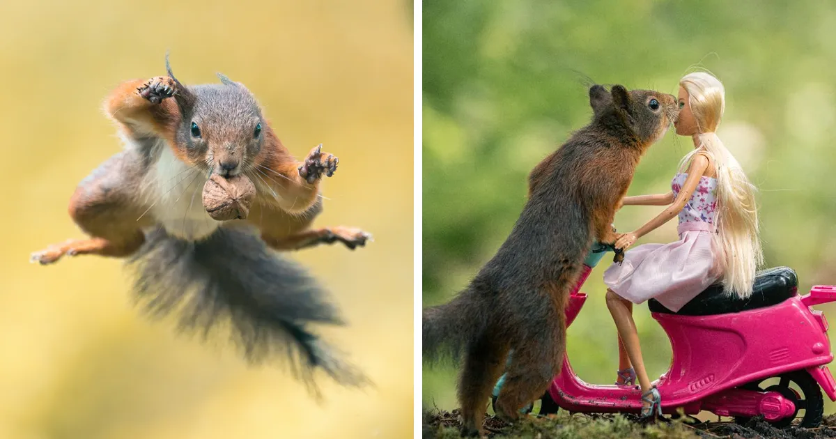 He pasado 5 años captando fotos perfectamente sincronizadas de animales en la naturaleza (35 fotos)