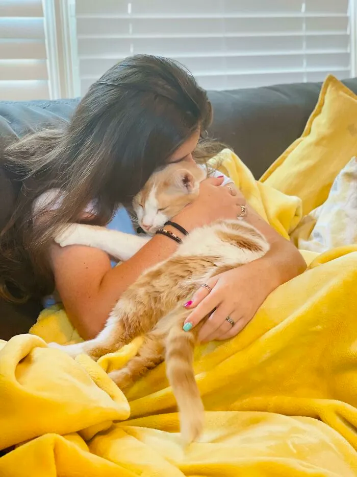 My Teenager Lost Her Beloved 13-Year Old Ginger Rescue Kitty Last Year To Cancer. We Recently Adopted A 3-Year Old Creamsicle. I Think They’re Both Gonna Be Just Fine
