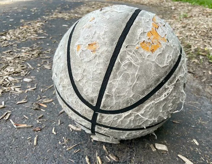 The One And Only Basketball That Lives At The Local Park And Somehow Still Bounces