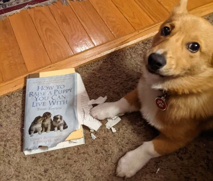 Knowledge Is Power