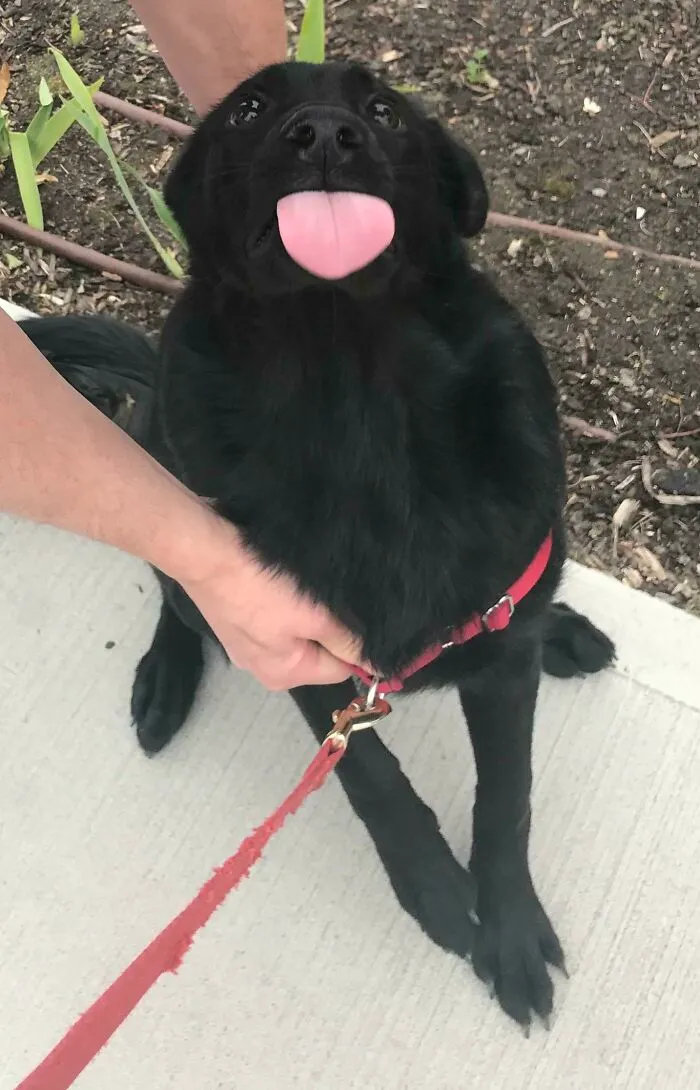 She Saw Her Friend And All Her Training Went Out The Window