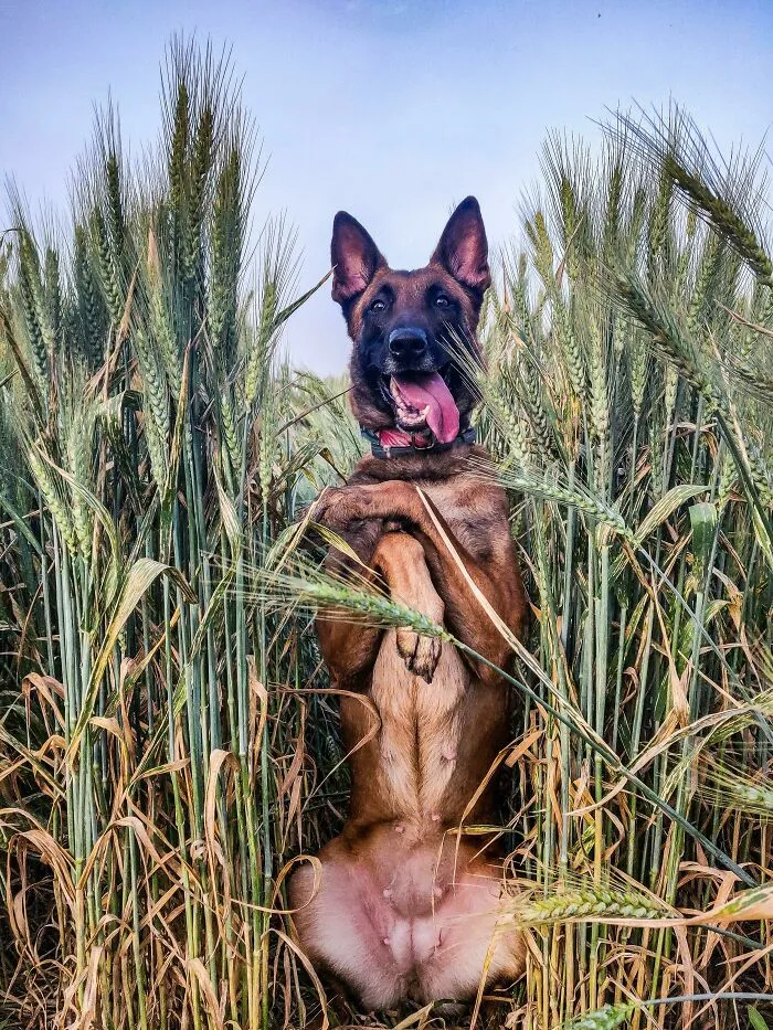 U Can't See Me. Im Grass
