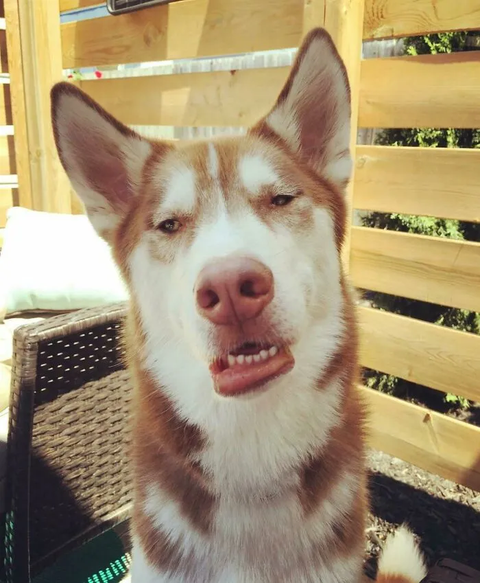 He Ate A Spicy Sky Raisin
