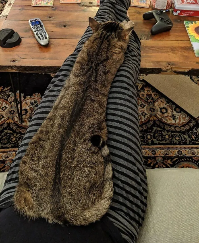 Looooong Boi