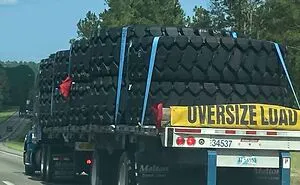 50 Times People Spotted 'Absolute Units' And Shared Them In This Online Community (New Pics)