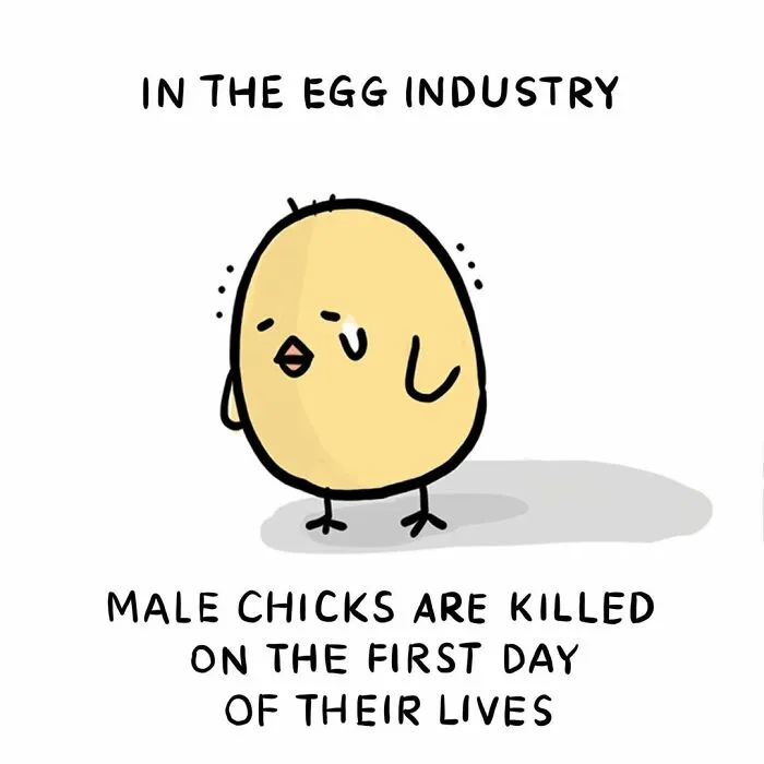 40 Heartbreaking Comics About Animal Abuse And Factory Farming By Joan Chan