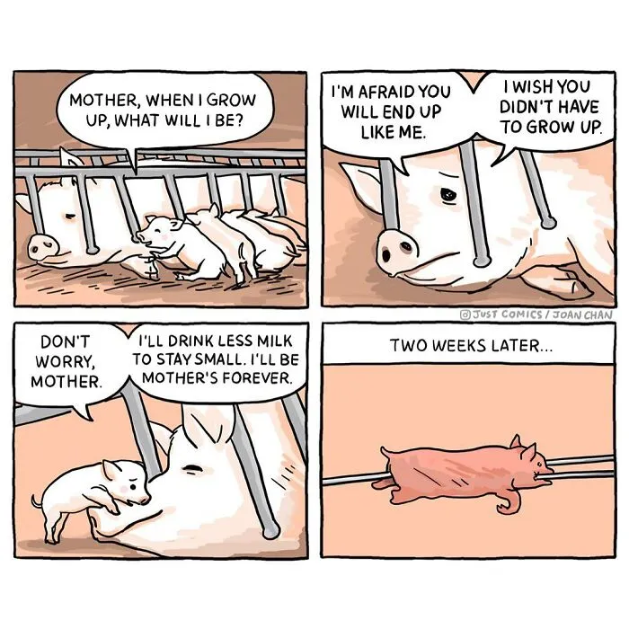 40 Heartbreaking Comics About Animal Abuse And Factory Farming By Joan Chan