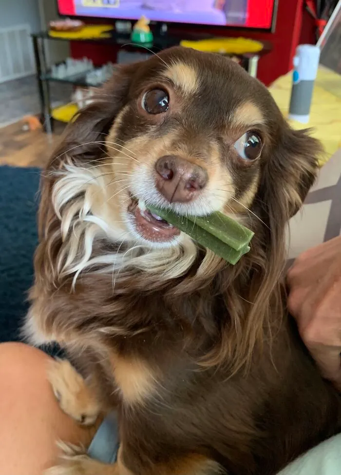 Ellie