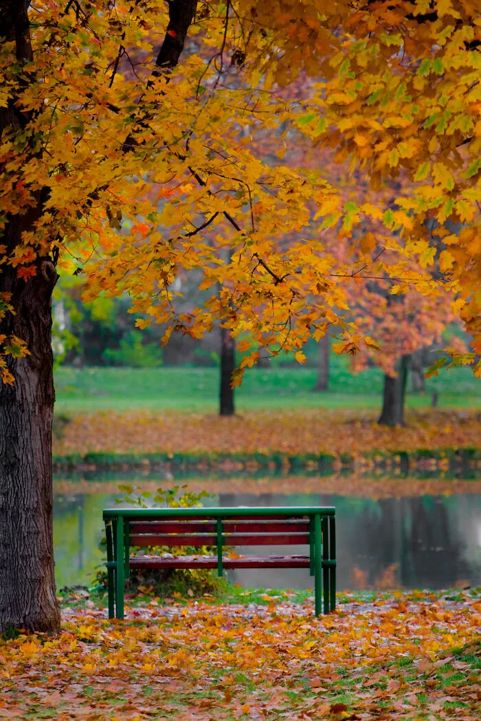 Autumn Begins Today, And Here Are My 12 Photos That Show What Autumn's Like In Macedonia