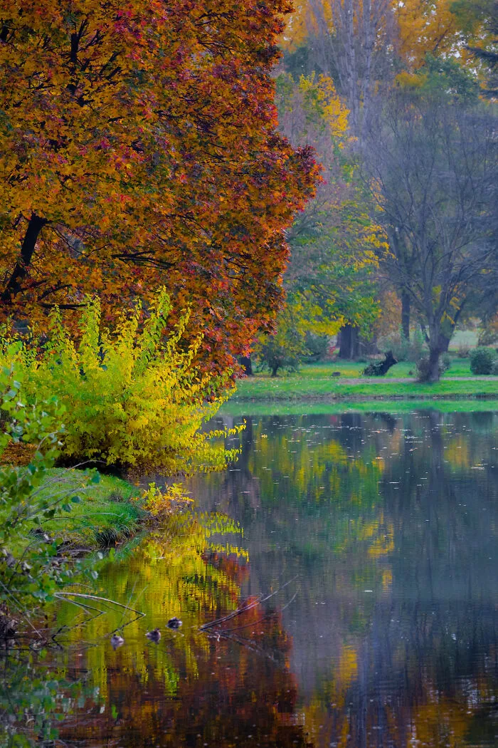 Autumn Begins Today, And Here Are My 12 Photos That Show What Autumn's Like In Macedonia