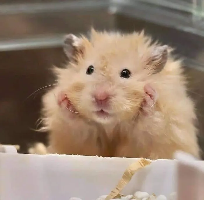 This Facebook Page Is All About Animal Images That Need To Be Seen (50 New Pics)