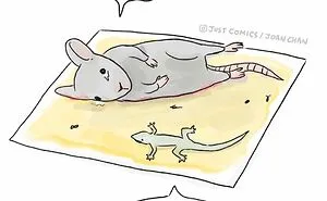 40 Heartbreaking Comics About Animal Abuse And Factory Farming By Joan Chan
