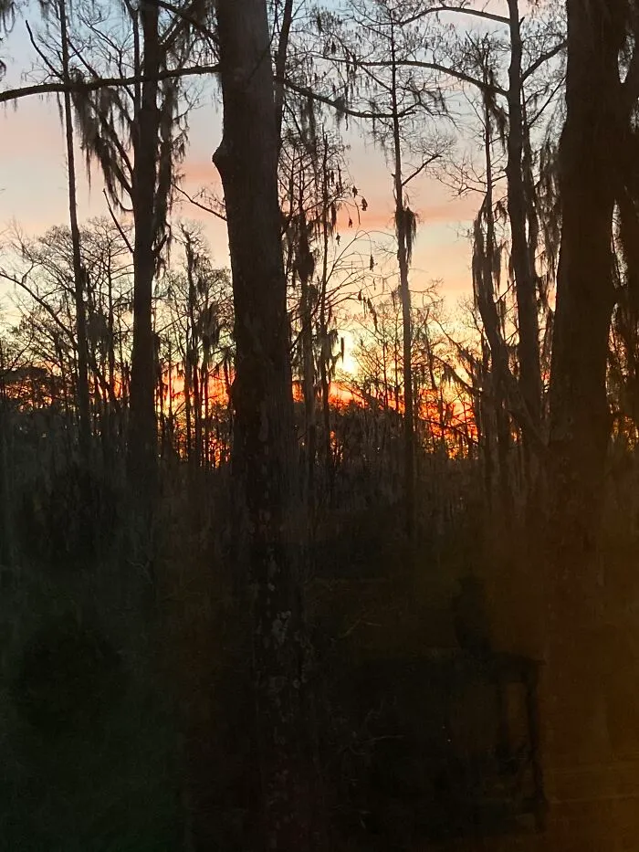 The Pink Orange Right As The Sun Sets
