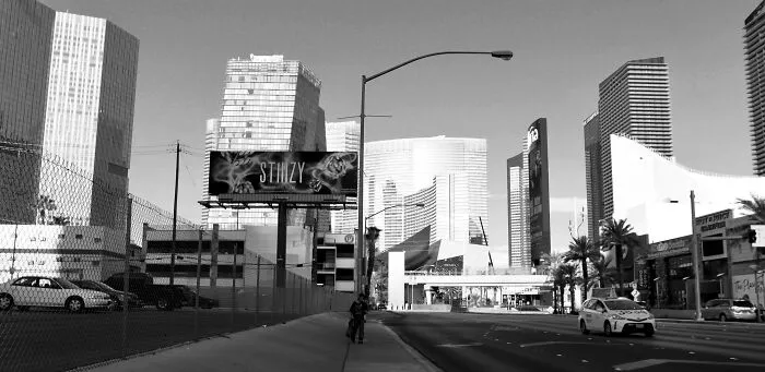 While I Was On My Honeymoon, I Captured The Darker Side Of The Glamorous Las Vegas (23 Pics)