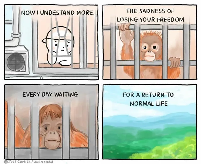 40 Heartbreaking Comics About Animal Abuse And Factory Farming By Joan Chan