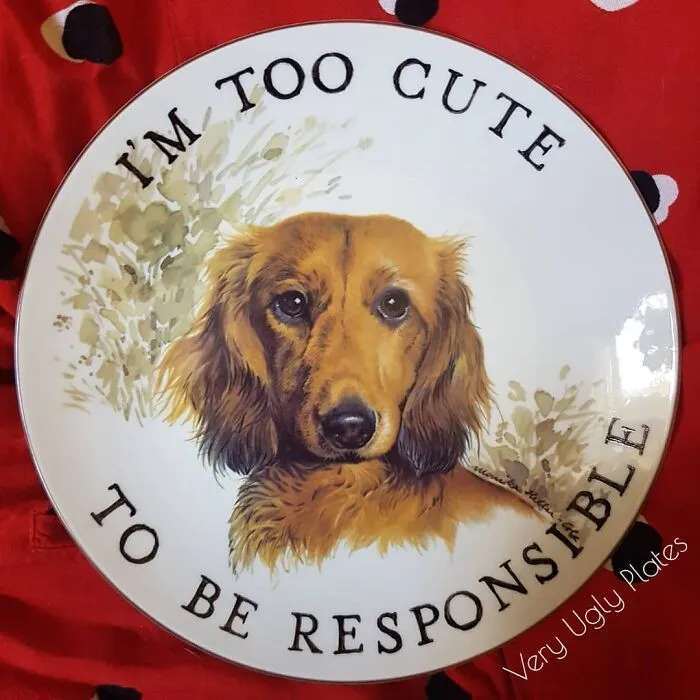 My 40 'Very Ugly Plates' With Dark Humor Captions