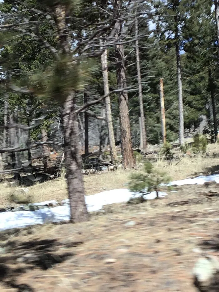 In Alaska