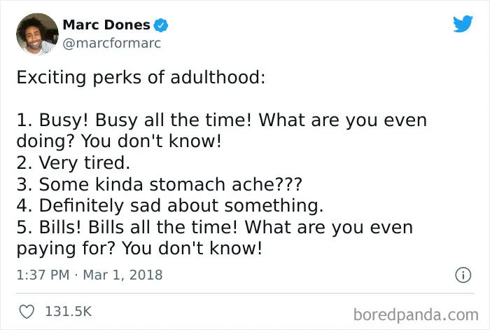 Funny adult meme listing humorous perks of adulthood including busyness, tiredness, stomach ache, sadness, and bills.