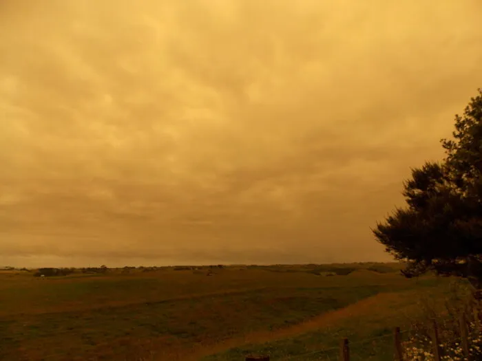 A Silent Scream - 2:30pm Jan 4th 2020 - Australian Bush Fires Darken The Sky In New Zealand, And The Birds Fall Silent